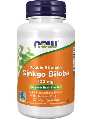 Ginkgo Biloba, Double Strength 120 mg, 100 Veg Capsules